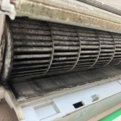 送風ファンのカビ